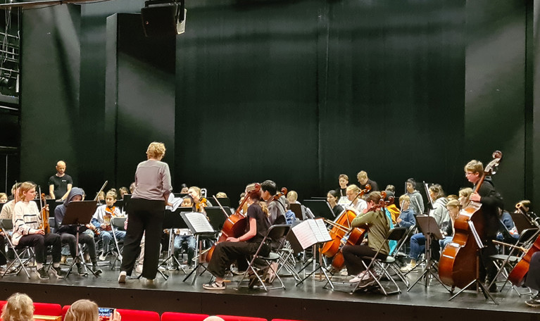 Ungdomssymfoniorkester. Fotografi