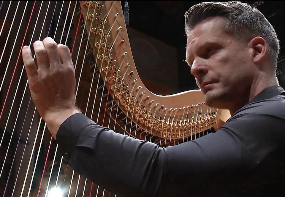 Man som spelar harpa. Fotografi.