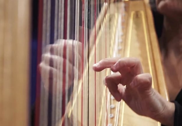 Close up harp. From the concert.
