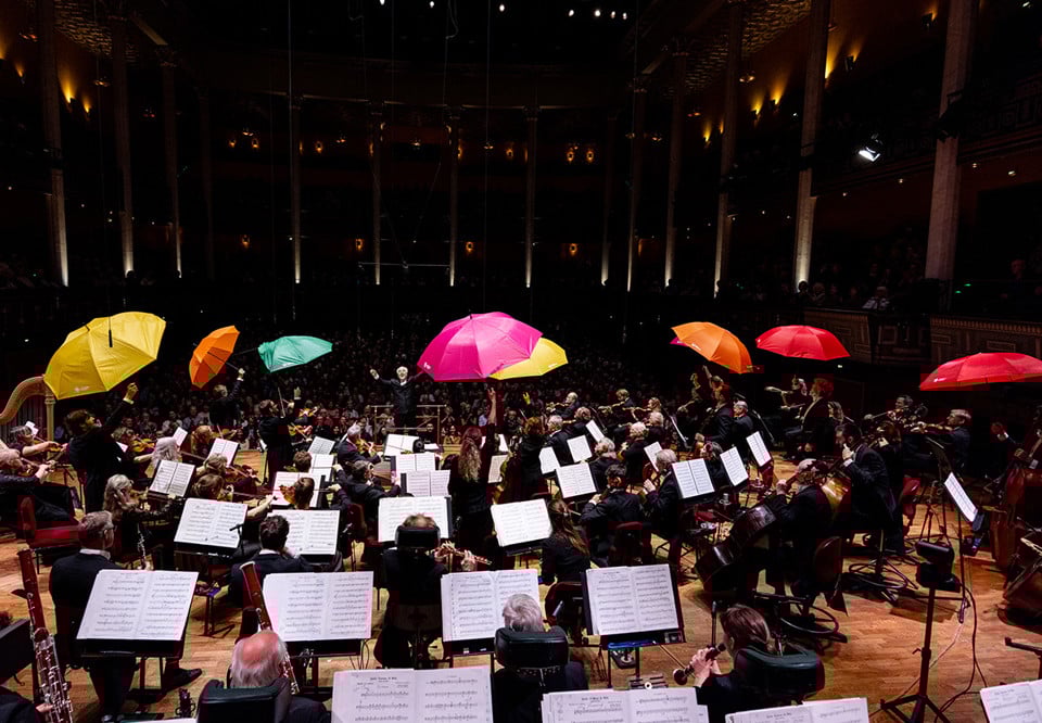 Man spelar cello Fotografi.