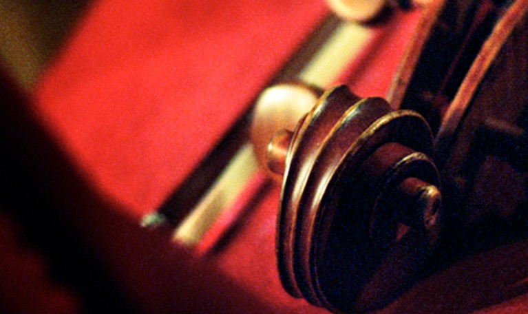 Cello närbild. Fotografi.