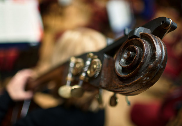 Violin
