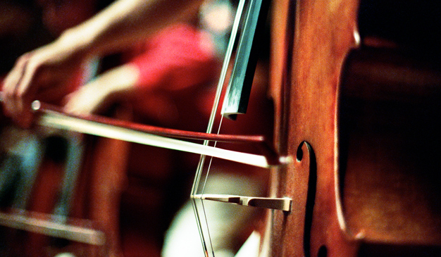 Close up on a cello with a bow