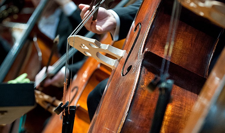 Close up Double Bass. Photo.