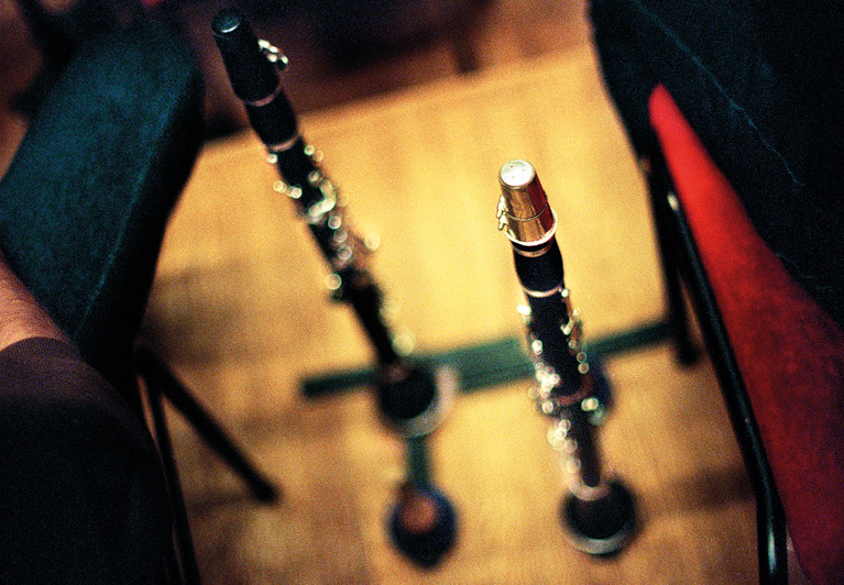 Oboes. Fotografi.