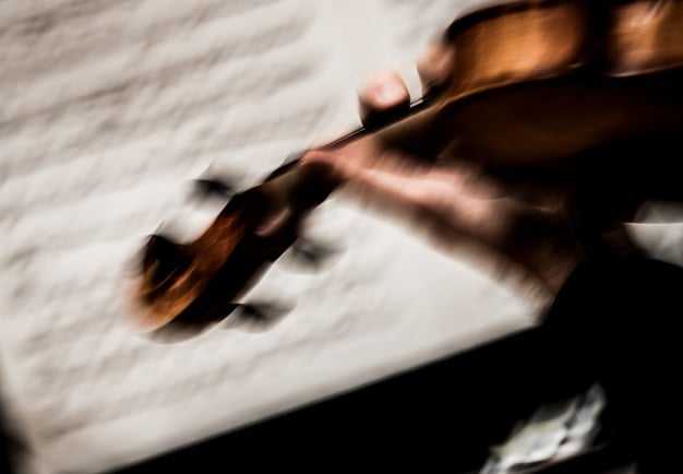 Närbidl på violin. Fotografi.