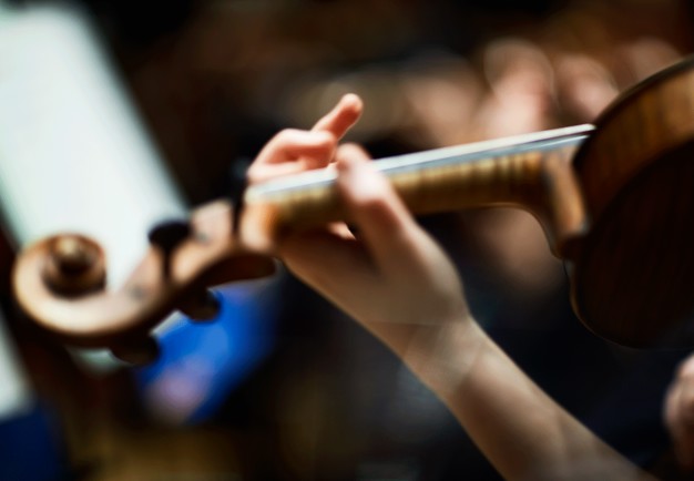 Närbild på violin. Fotografi.