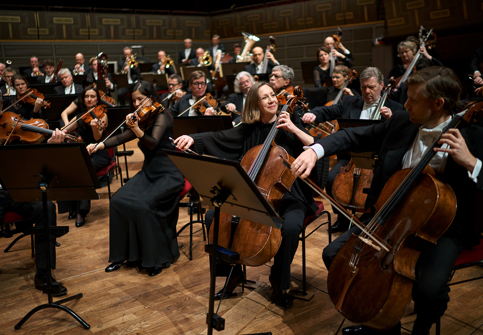 Foto på cellosektionen i orkestern