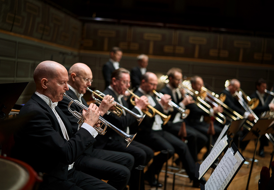 Members of the orchestra playing their instruments.