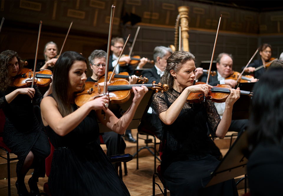 Musicians playing. Photo.