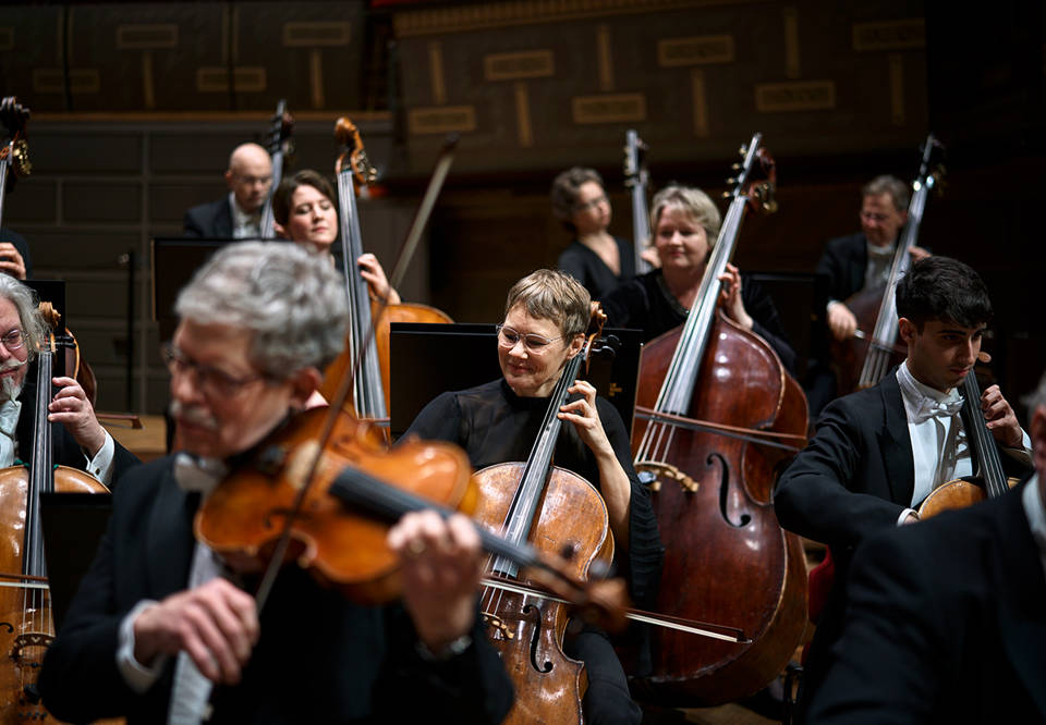 Fotografi över orkesterns stråksektion i konsertkläder. 
