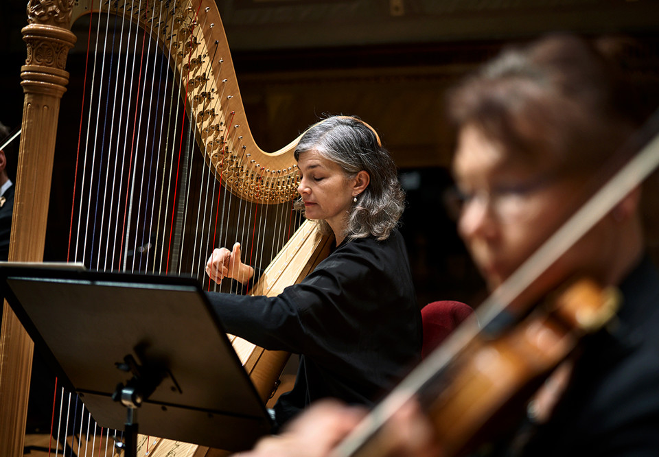 Musiker som spelar. Fotografi.