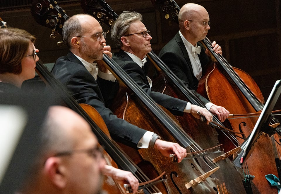 Musiker som spelar. Fotografi.