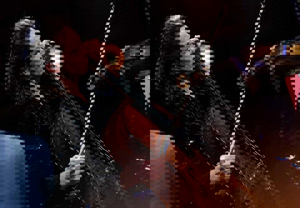 Kvinna som spelar cello. Fotografi.