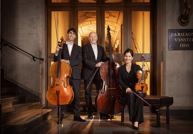 Musiker med instrument. Fotografi.